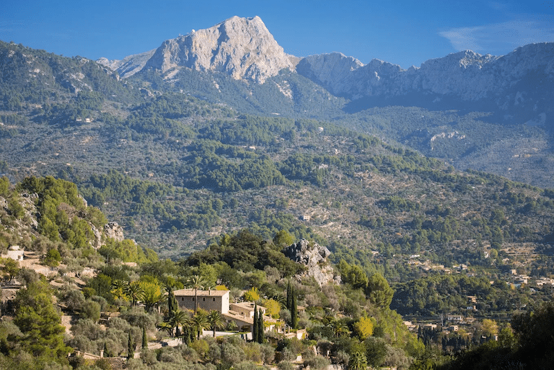 yoga finca son salas