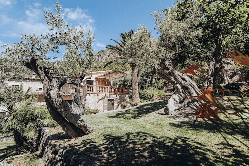 nature finca son salas